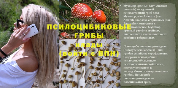 метадон Каменногорск
