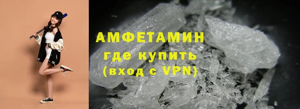 дживик Щигры