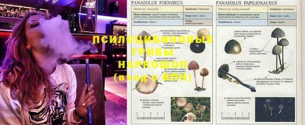 метадон Каменногорск