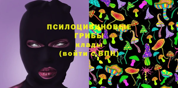метадон Каменногорск