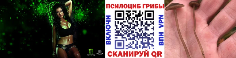Галлюциногенные грибы Magic Shrooms дарнет шоп blacksprut зеркало Шлиссельбург